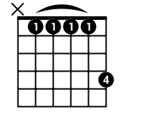 Shape: X,1,1,1,1,4