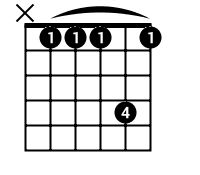 Shape: X,1,1,1,4,1